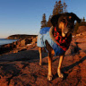 Meet your Posher, Krystal